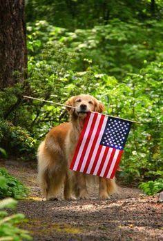 The Patriot 🇺🇲🤍🇺🇲💙🇺🇲🤍🇺🇲💙🇺🇲 (@1the___patriot) on Twitter photo ...God bless you 🇺🇲
Great Patriots indeed Connecting...
Please Like & Repost Widely❤️
Follow:<a href="/1The___Patriot/">THE PATRIOT🇺🇲🤍🇺🇲💙🇺🇲🤍🇺🇲💙🇺🇲</a>
<a href="/SearchBarServer/">The Search Bar and Grill</a>
<a href="/FarminDude/">Farmin Dude</a>
<a href="/icantwant2/">Roland Deschain</a>
<a href="/ButchPink/">Butch Pink</a>
<a href="/GlennaRyan16/">Glenna Ryan 🇺🇸 🍊</a>
<a href="/halifaxjones25/">𝖧𝖥𝕏_𝕁𝕠𝕟𝕖𝕤</a>
<a href="/RealKenWalls/">Ken Walls</a>
<a href="/DFMc12/">Snakedriver</a>
<a href="/anneYdesigns/">LivinTheBeachLife</a>
<a href="/JoeUfc76633/">Joe</a>
<a href="/fkjoe420/">Christopher420</a>
<a href="/Tim_Lemaster1/">Tim Lemaster</a> ...God bless you 🇺🇲
Great Patriots indeed Connecting...
Please Like & Repost Widely❤️
Follow:<a href="/1The___Patriot/">THE PATRIOT🇺🇲🤍🇺🇲💙🇺🇲🤍🇺🇲💙🇺🇲</a>
<a href="/SearchBarServer/">The Search Bar and Grill</a>
<a href="/FarminDude/">Farmin Dude</a>
<a href="/icantwant2/">Roland Deschain</a>
<a href="/ButchPink/">Butch Pink</a>
<a href="/GlennaRyan16/">Glenna Ryan 🇺🇸 🍊</a>
<a href="/halifaxjones25/">𝖧𝖥𝕏_𝕁𝕠𝕟𝕖𝕤</a>
<a href="/RealKenWalls/">Ken Walls</a>
<a href="/DFMc12/">Snakedriver</a>
<a href="/anneYdesigns/">LivinTheBeachLife</a>
<a href="/JoeUfc76633/">Joe</a>
<a href="/fkjoe420/">Christopher420</a>
<a href="/Tim_Lemaster1/">Tim Lemaster</a>