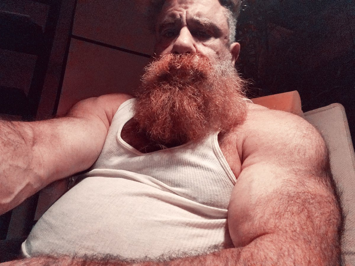 Bull100Muscle's tweet image. Daddy bull needs company