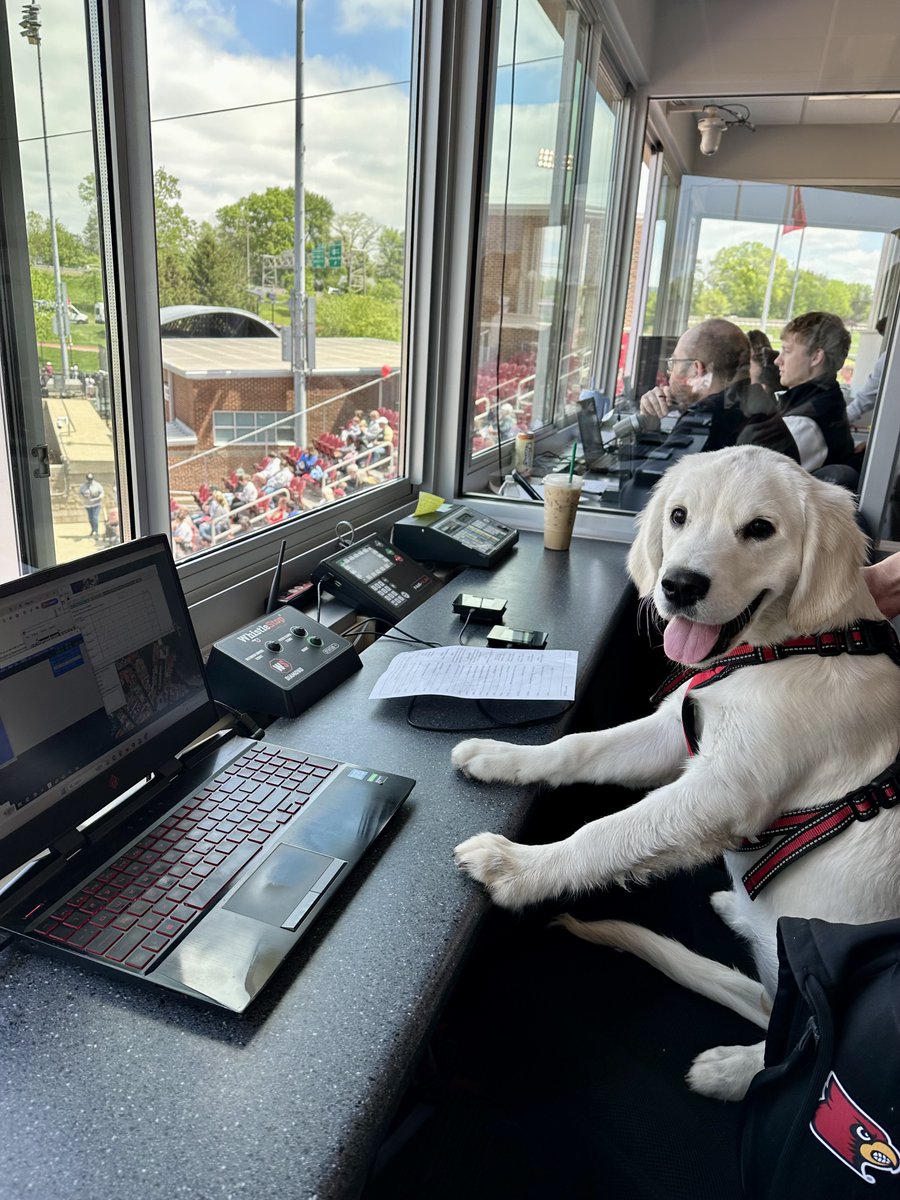 Louisville Softball tweet media