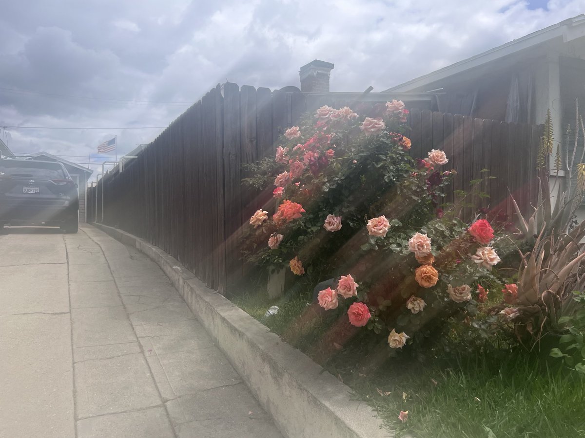 Look to this day (@for001ever) on Twitter photo 