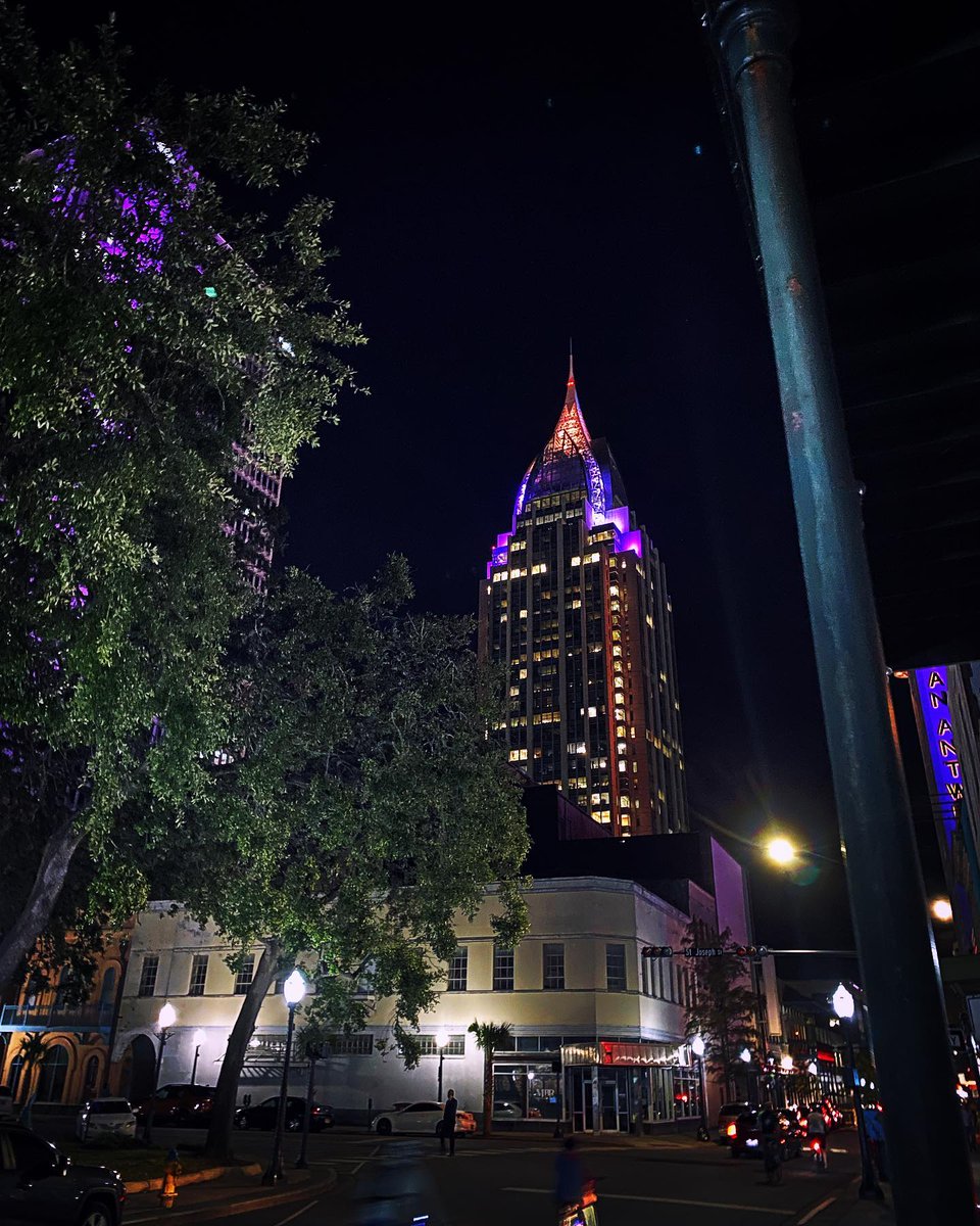 VisitMobileAL's tweet photo. Meanwhile in Mobile... π #VisitMobile
πΈ: palmier_royal_photography on IG https://t.co/k1CqI35mPc