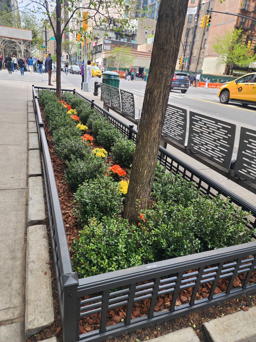 Another look at the new tree guards and pits at the bus stop on the south side of <a href="/East86th/">East 86th St Assn</a> between 2nd and 3rd. ❤️ Love them ❤️! Thanks again to The Brompton Condominium for their generous contribution!