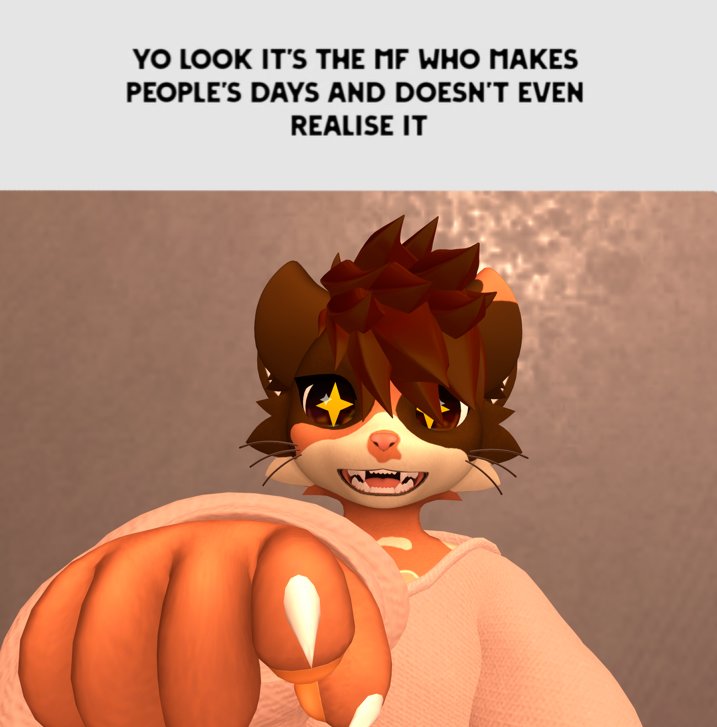 ☕Coffee Kitty🧡 tweet media