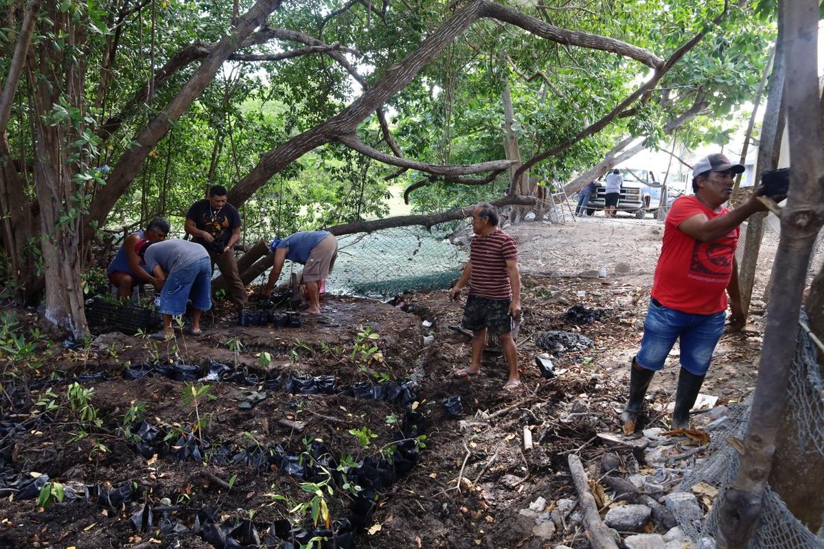 AyundeProgreso's tweet image. El regidor de Pesca y Fomento Agropecuario, Román García Martínez, en trabajo coordinado con el alcalde Erik Rihani González, supervisó la limpieza que se realizó en la calle de la Caleta, como parte del Programa Especial de Cambio Climático.