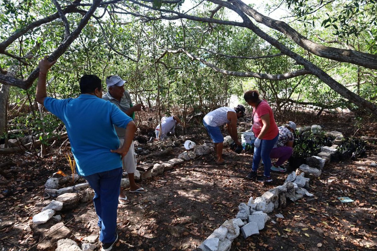 AyundeProgreso's tweet image. El regidor de Pesca y Fomento Agropecuario, Román García Martínez, en trabajo coordinado con el alcalde Erik Rihani González, supervisó la limpieza que se realizó en la calle de la Caleta, como parte del Programa Especial de Cambio Climático.