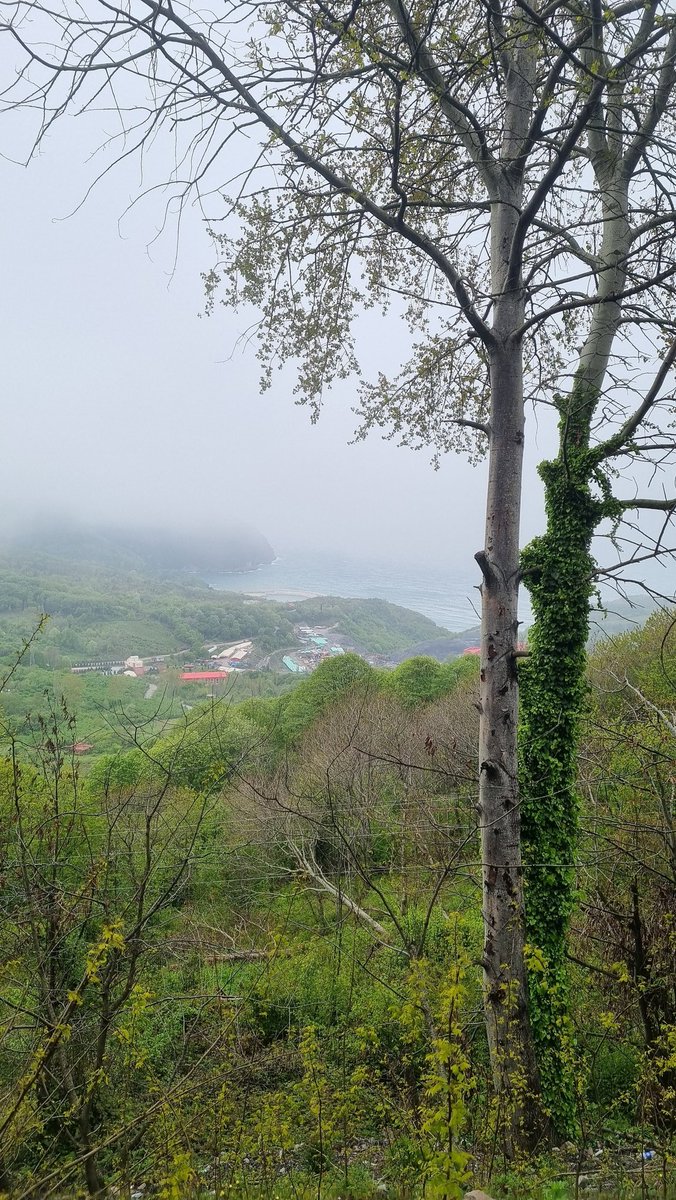 Bugünkü doğa yürüyüşümüzden kareler mental sağlık ekibine bu çalışmaları için teşekkür ederiz. 🧭🏔
#BartınÜniversi #MentalHealth