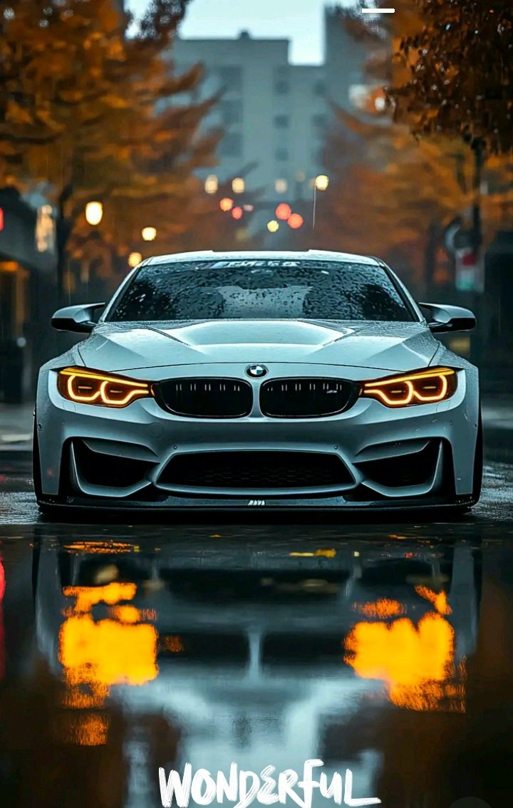 I agree #viral #bmwmotorrad #BMW #BMW乗りと繋がろう2025春