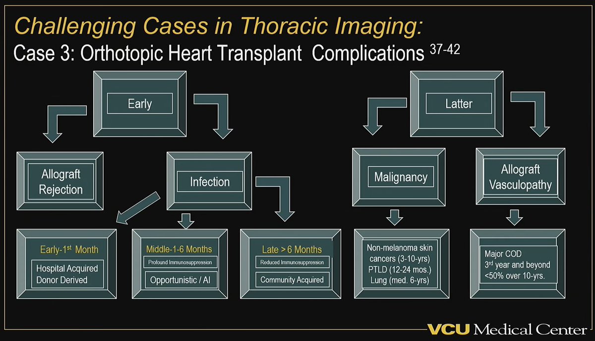LaurenGroner's tweet photo. Interesting and engaging session of challenging cases in thoracic imaging with a super⭐️ panel of #chestrads at #ARRS25
My pick for most interesting case: 48 yo 🚹 with disseminated Nocardiosis 3 months s/p orthotopic heart transplant 🫀🫁🧠 https://t.co/xr0wWIs0Np