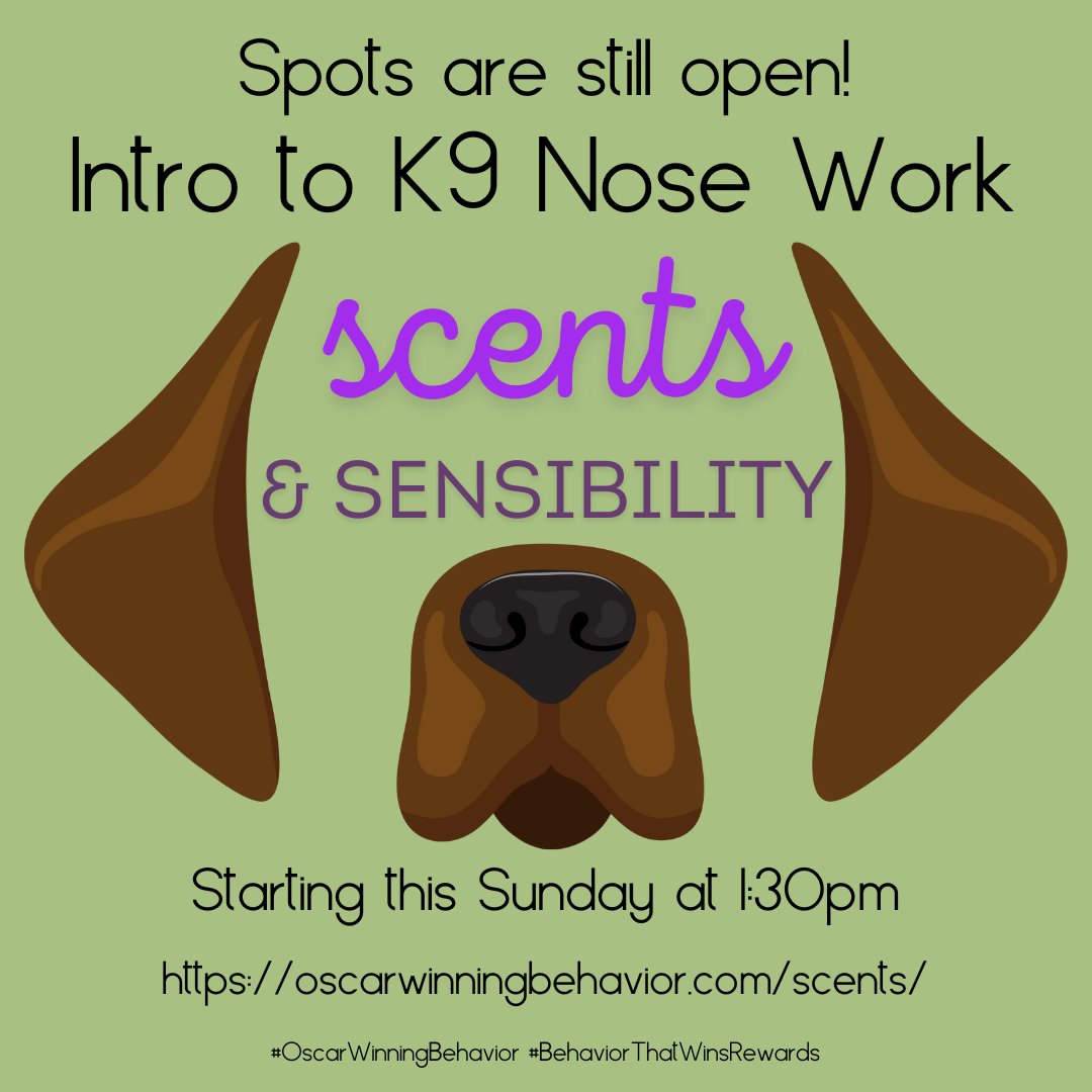 OscarWinning's tweet image. Sign up now and see how fun playing with your dog can be!

OscarWinningBehavior.com/scents

#OscarWinningBehavior #NACSW #SniffySunday