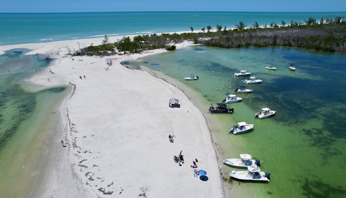 🌴 Caribbean Blogger tweet media