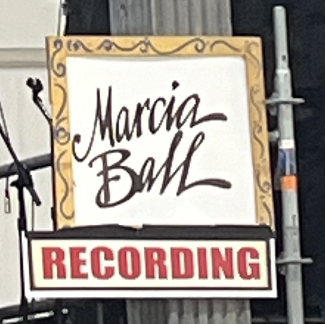 Can’t believe it’s here! On Tuesday we leave for #jazzfest2025 in #NOLA! It’s the pinnacle of my year musically. So many bands, so many stages. I feel like a dog on Thanksgiving!!! 🎸🎹🎷🎺🪕🪇🪗🥁🎶🎵💜💚💛💜💚💛💜💚💛