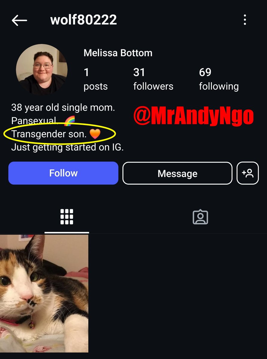 Andy Ngo tweet media