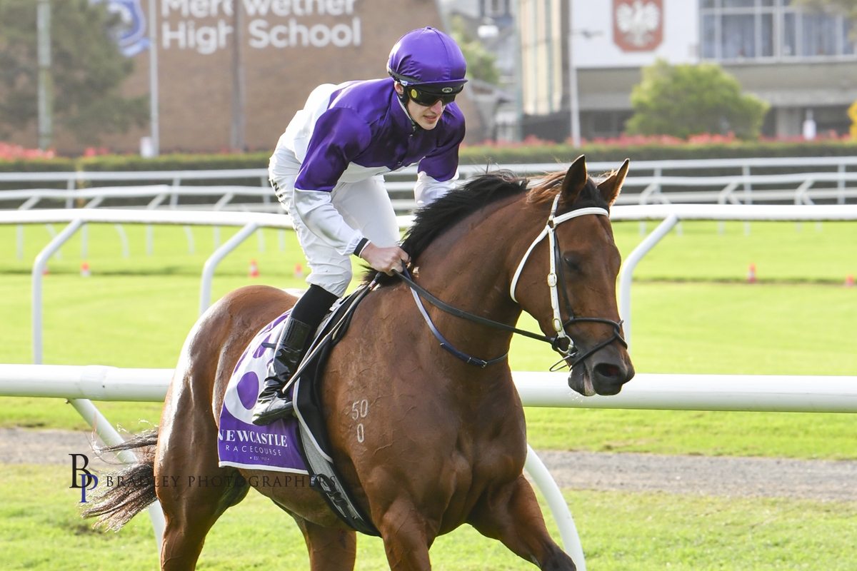 PROVINCIAL RACING (@provracingnsw) on Twitter photo FROM the bush to the beach! Apprentice William Stanley’s decision to up stumps & move from Orange to <a href="/newcastleraces_/">Newcastle Racecourse</a> has paid off handsomely.
The 21yo, joined <a href="/Leesracing/">Lees Racing</a> & brought up a career milestone provincialracingnsw.com.au/post/century-m… FROM the bush to the beach! Apprentice William Stanley’s decision to up stumps & move from Orange to <a href="/newcastleraces_/">Newcastle Racecourse</a> has paid off handsomely.
The 21yo, joined <a href="/Leesracing/">Lees Racing</a> & brought up a career milestone provincialracingnsw.com.au/post/century-m…