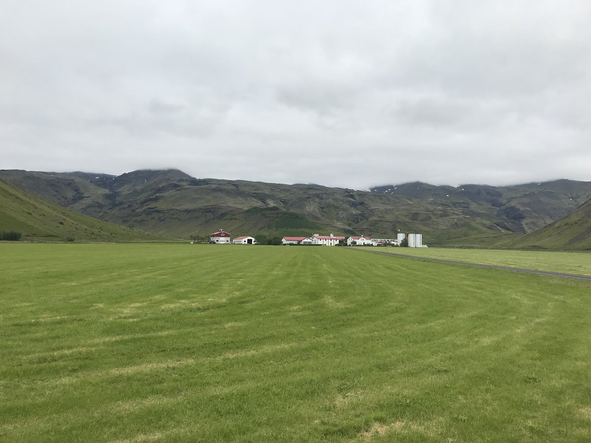 Fernando Biaiñ tweet media