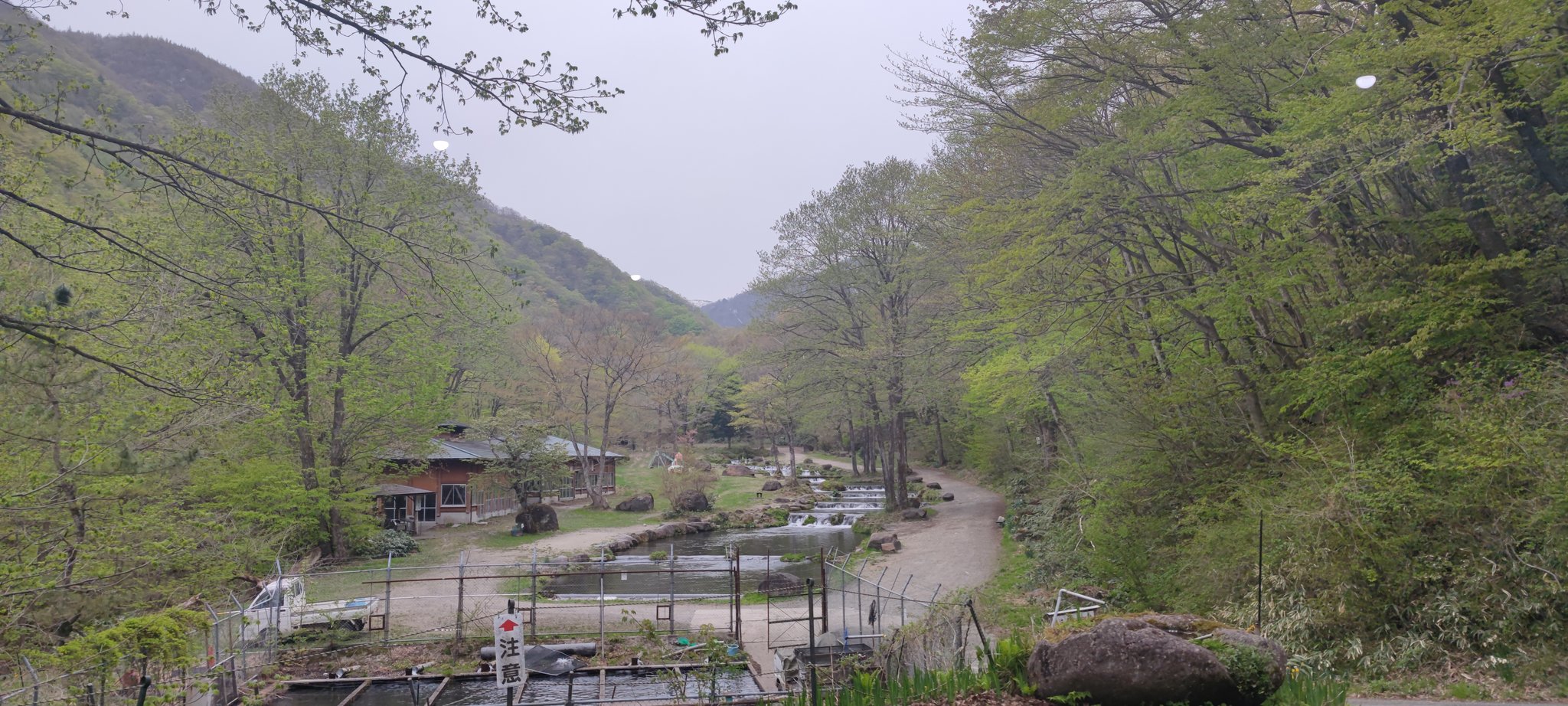 ▼希少 宮城県の渓流 釣り場 東京起点・日帰り1泊で楽しめる 東北の渓流 ③a Amazon.co.jp: 宮城県の渓流: 仙台起点日帰り1泊で楽しめる