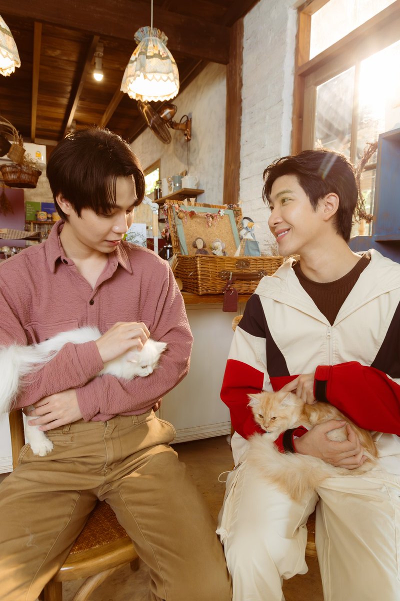 CatForCash's tweet image. THANKS FOR 1 M+ VIEWS ON YOUTUBE #CatForCash1M 💖
เติมแมวใน Pilot กันมาจนครบ 1 ล้านครั้งแล้วววว ในรูปบอกให้มองแมว ก็มองแมวจริงไม่เถียง 😗

‘เปย์รักด้วยแมวเลี้ยง (Cat for Cash)'
🔗 youtu.be/1M-6KmMCE20?si…

#CatForCash 
#GMMTV