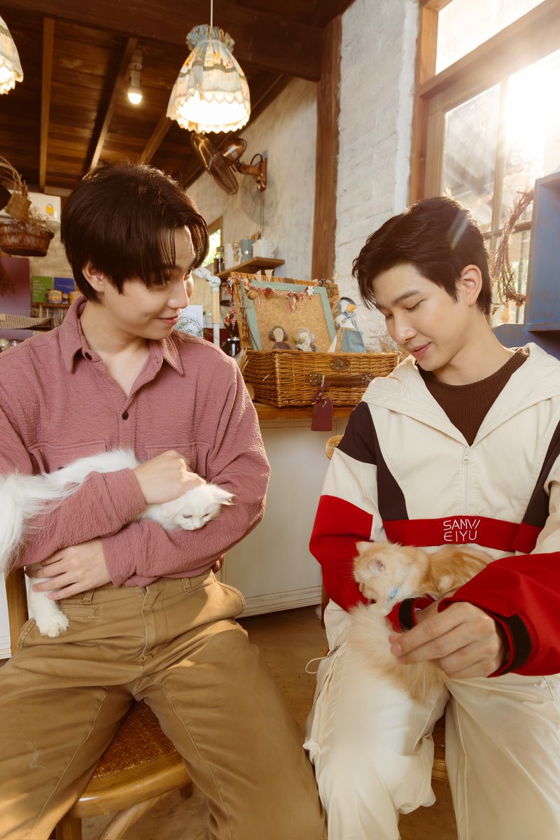 CatForCash's tweet image. THANKS FOR 1 M+ VIEWS ON YOUTUBE #CatForCash1M 💖
เติมแมวใน Pilot กันมาจนครบ 1 ล้านครั้งแล้วววว ในรูปบอกให้มองแมว ก็มองแมวจริงไม่เถียง 😗

‘เปย์รักด้วยแมวเลี้ยง (Cat for Cash)'
🔗 youtu.be/1M-6KmMCE20?si…

#CatForCash 
#GMMTV