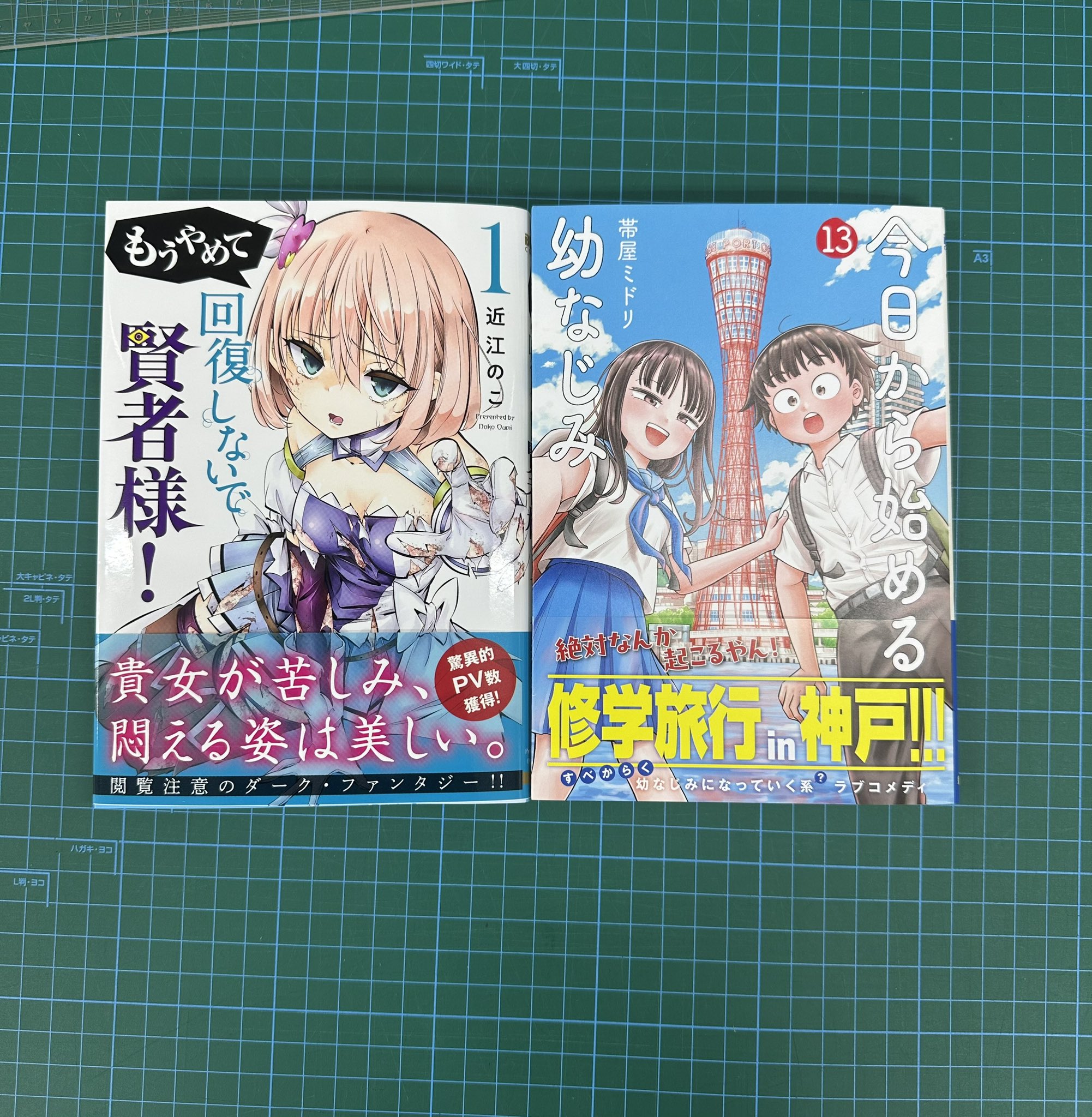 今日から始める幼なじみ 10巻 (バンチコミックス) | 帯屋ミドリ