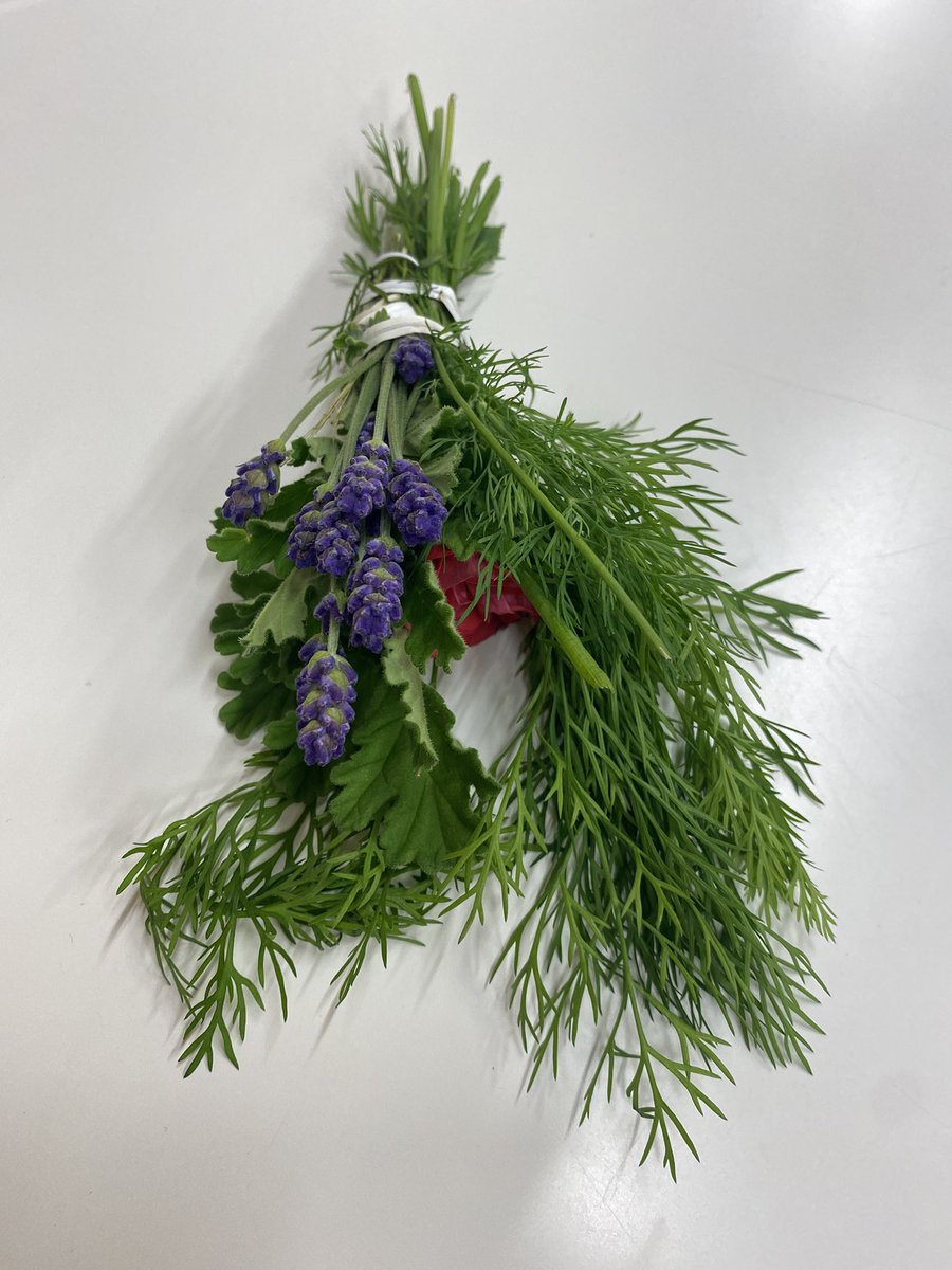 ウチの学生がハーブをブーケにしてプレゼントしてくれた😳
香りを楽しんで下さい、なんてスパダリ過ぎるでしょう🥺💕