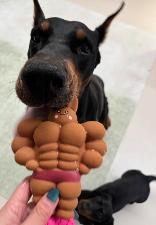 Thank you Muscle Bunny! My slippers are finally safe 😇
#fyp #dogs #gifts #pettoys #dogtoys