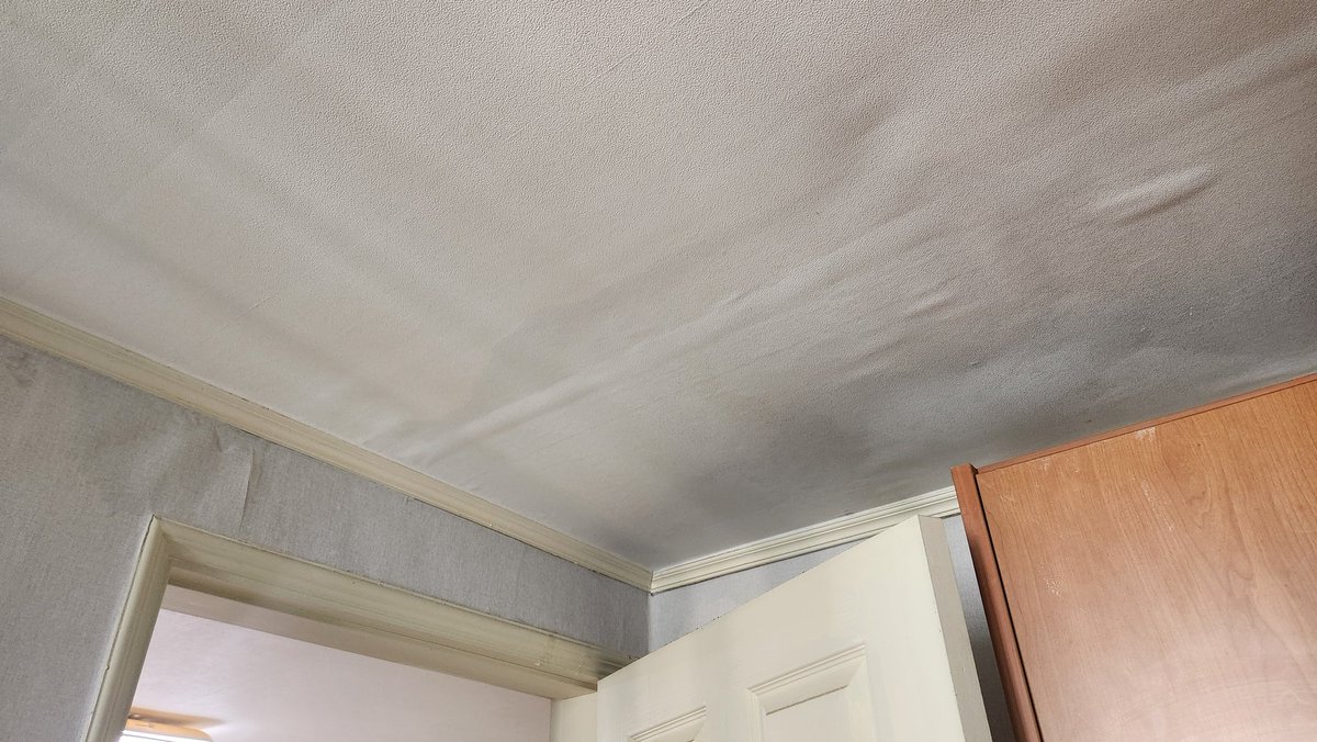 집이고 작업실이고 왜 이러는거야 무슨 연례행사냐고