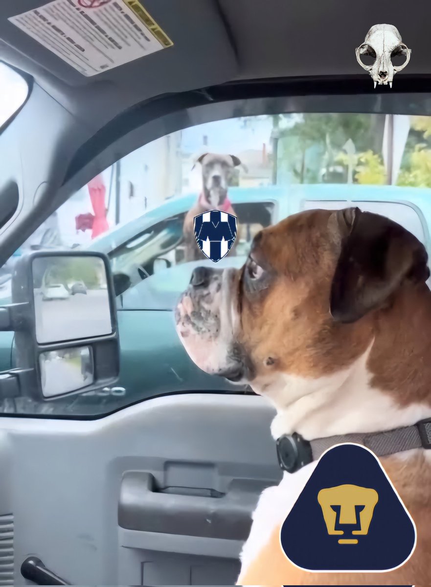 AlexsAuriazul's tweet image. No mames wey, otra vez tu ?🤣