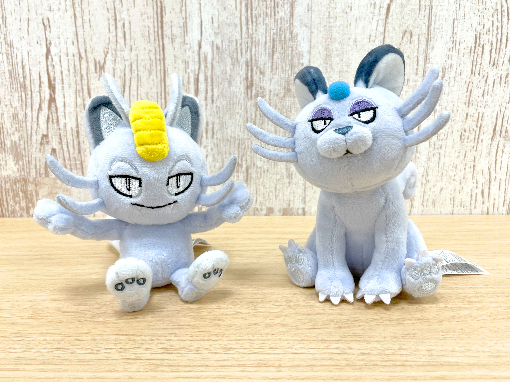 ポケモンだいすきクラブ編集部【公式】 on X