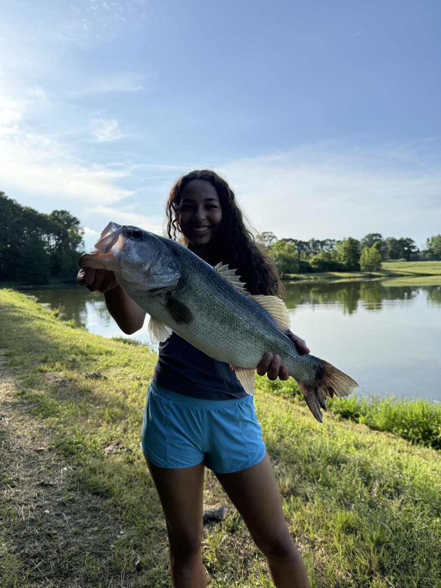 Mario White tweet media