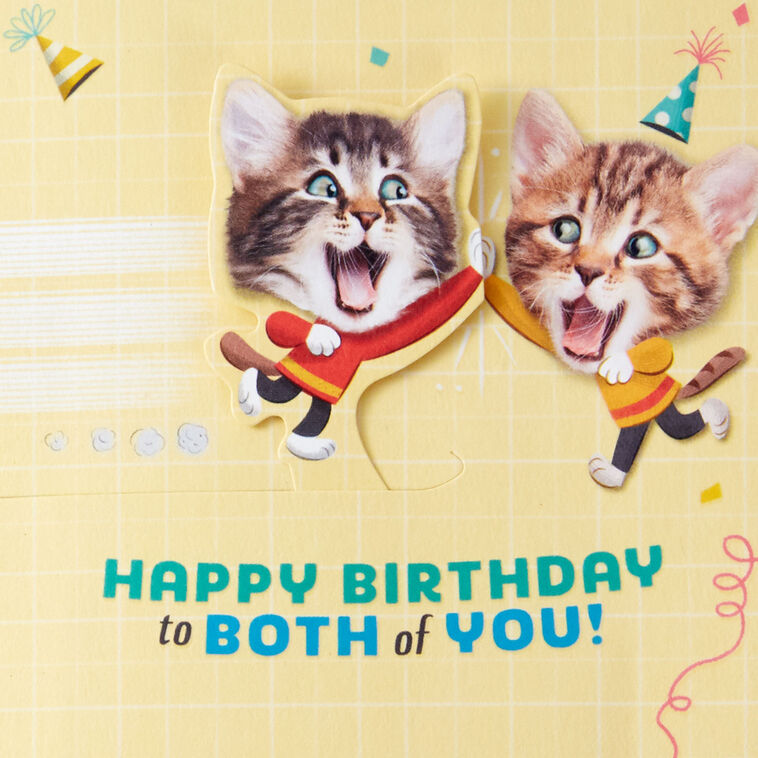 Spicy the Cat tweet media