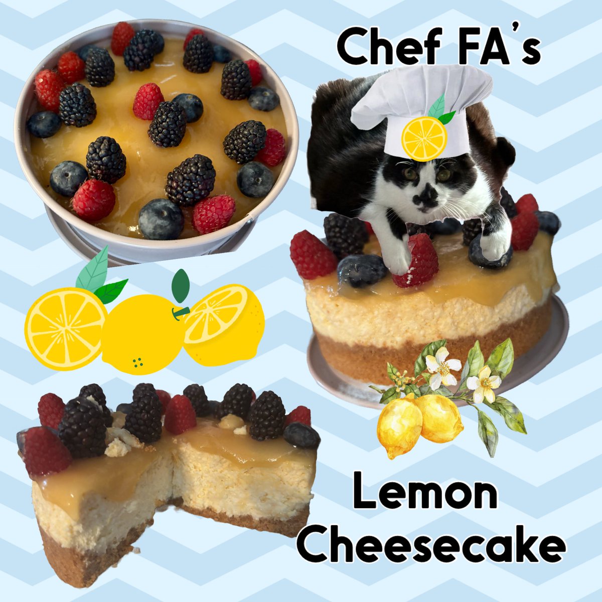 pvisnesky's tweet photo. Annypaw fur lemmon cheemscake? 😸🍋💛 Cweemy cheezy güd! #chefFA #hedgewatch #ecc #lemon #desserts #baking #cheesecake #catsofX #catsoftwitter https://t.co/v4GVnSnDOo
