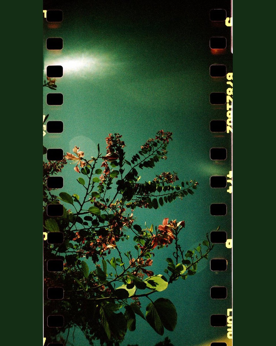 Outer Echoes tweet media