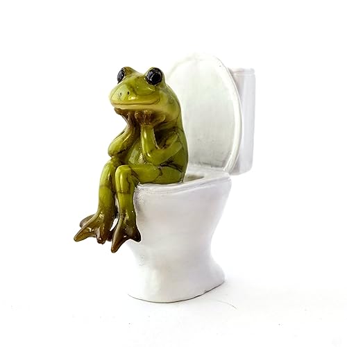 I just received Top Collection The Thinker Frog 2.5-Inch Mini Collectible Bathroom Figurine from herplstiltskin via Throne. Thank you! throne.com/libearty #Wishlist #Throne