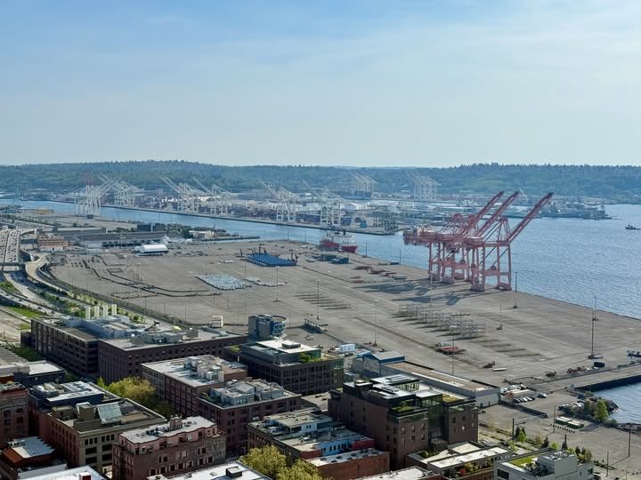 Paul Killam tweet media