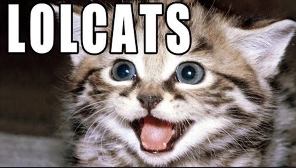 Thor 🤬 tweet media