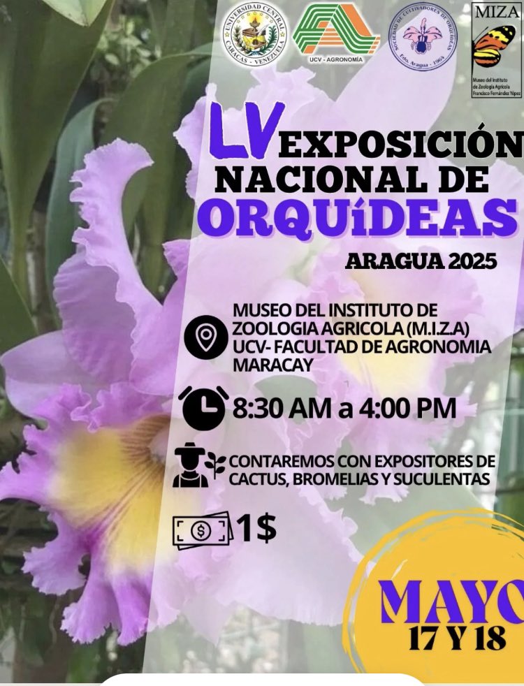 Cordialmente invitados a la “LV Exposición Nacional de Orquideas - Aragua 2025”, el 17-18 de mayo, organizada por la Sociedad de Cultivadores de Orquideas del Estado Aragua. Horario: 8:30am-4:00pm
Niños a partir de 12 años entrada libre.
Sede: MIZA- Campus UCV, Maracay