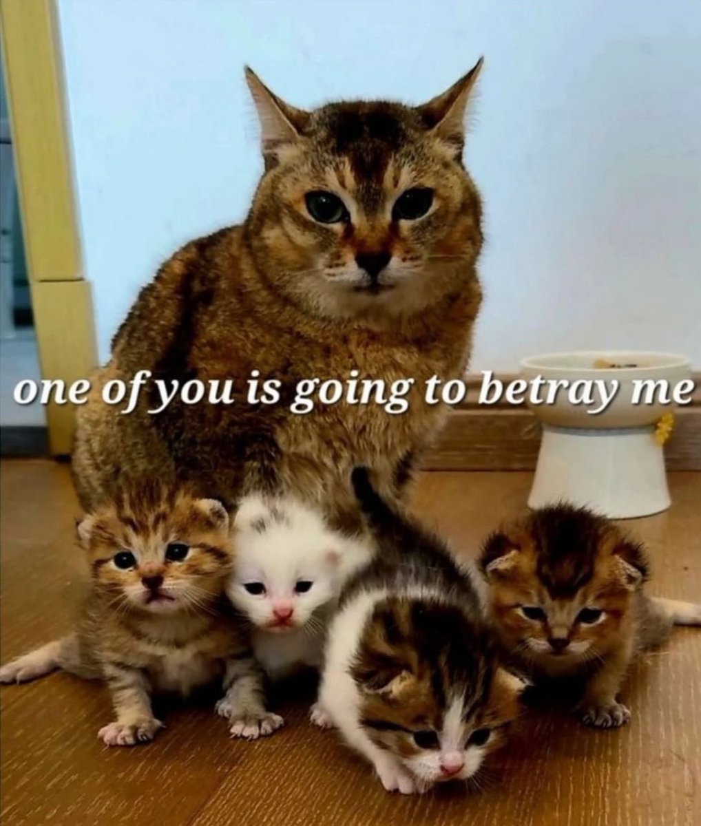 Tunafish (@TunaManCanNot) / Posts / X