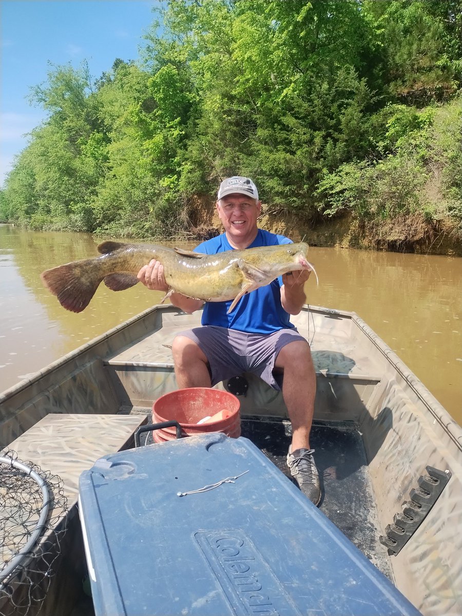 Scott Cantrell tweet media