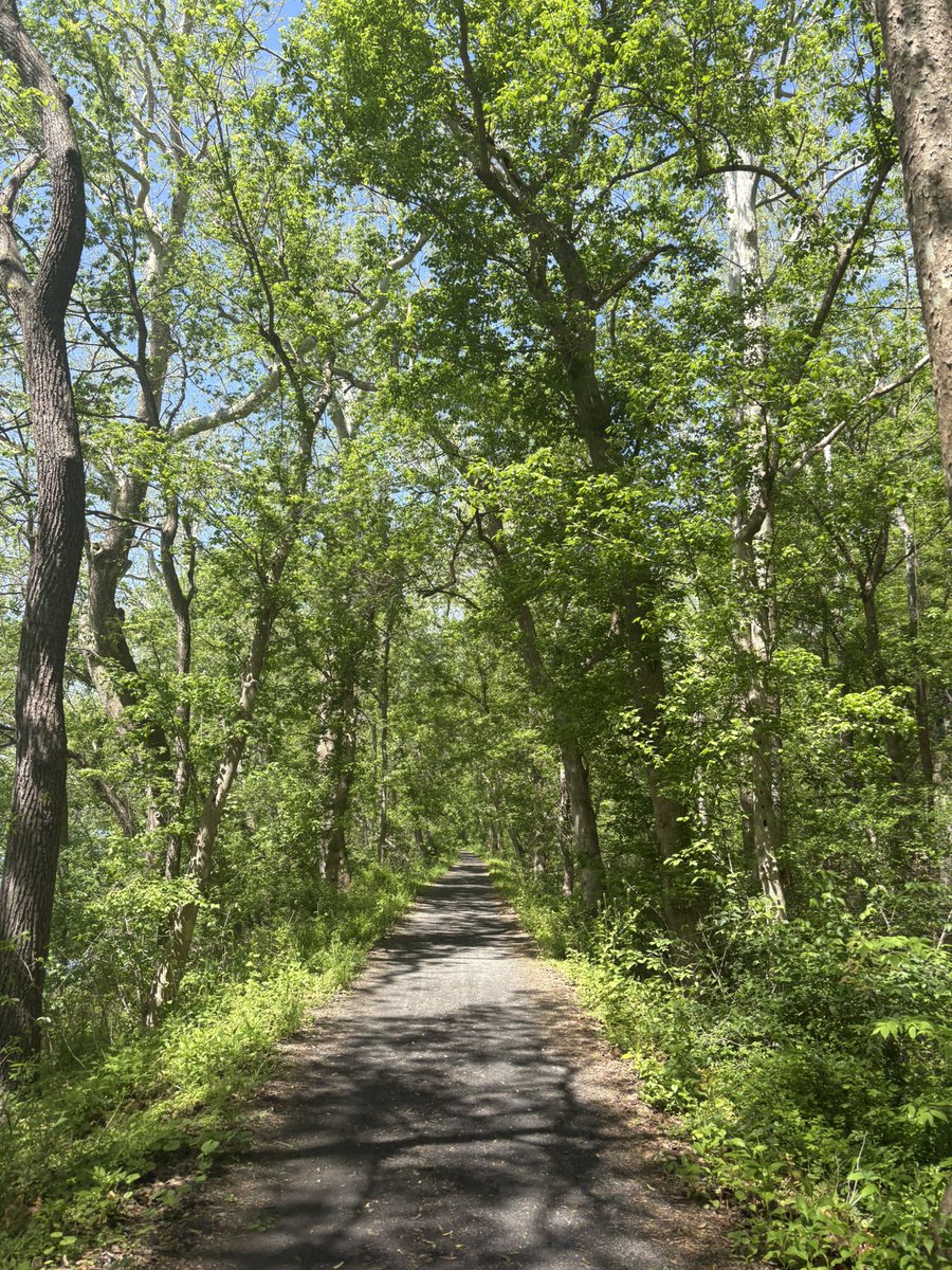 First 100-mile ultra complete! C&amp;O Canal in Knoxville, Maryland. Plenty of ups and downs, and grateful for everything the journey taught me.