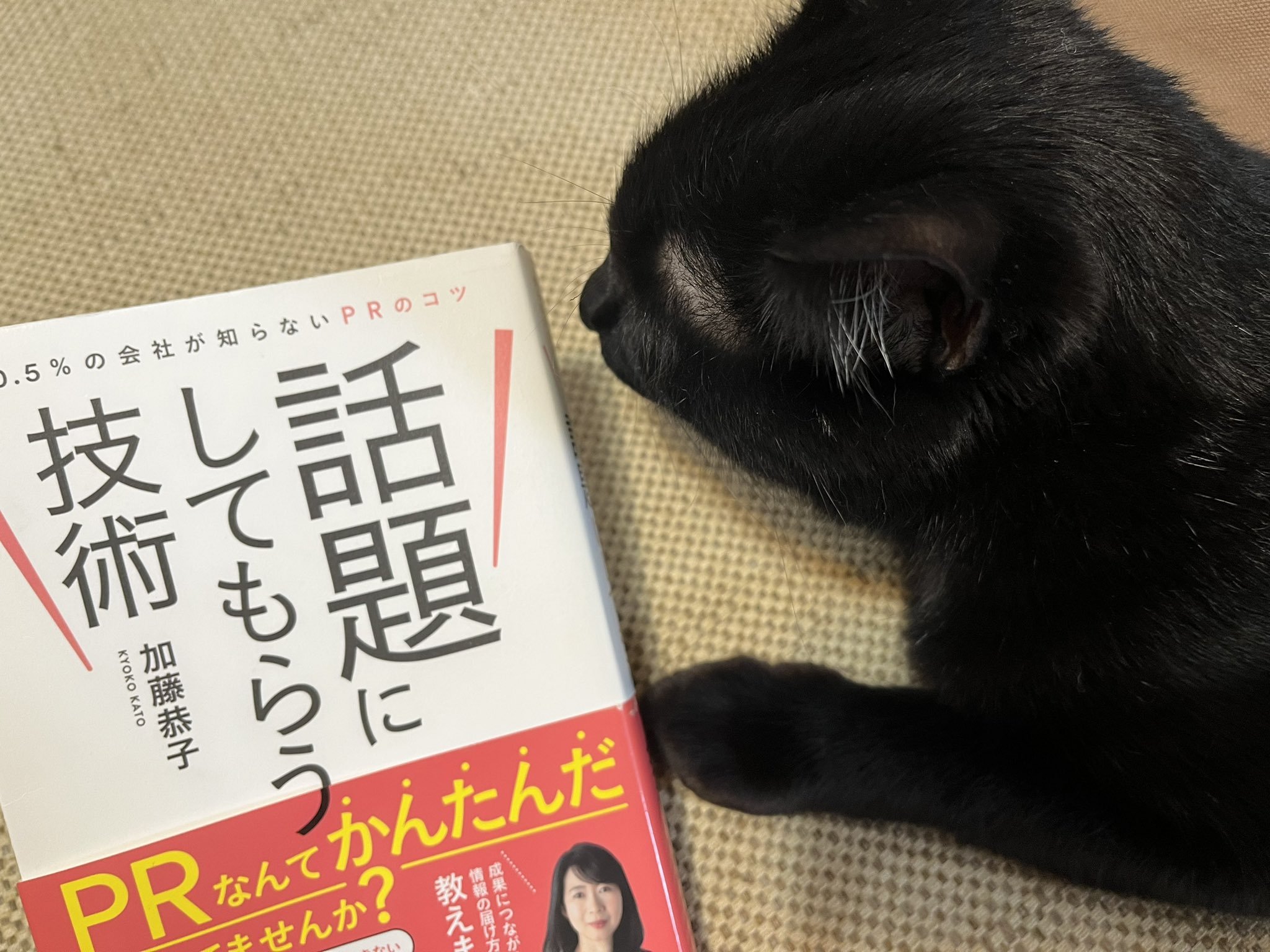 Amazon.co.jp: 加藤 恭子: 本、バイオグラフィー、最新アップデート