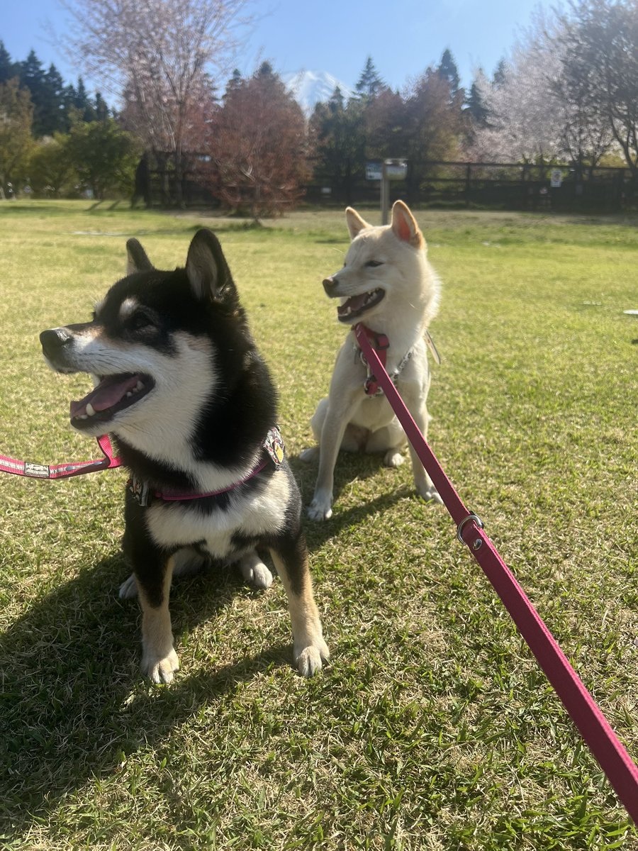 おはようございます😊今日頑張れば明日は休み😊
