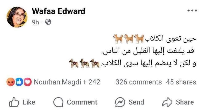 𓂆 tweet media