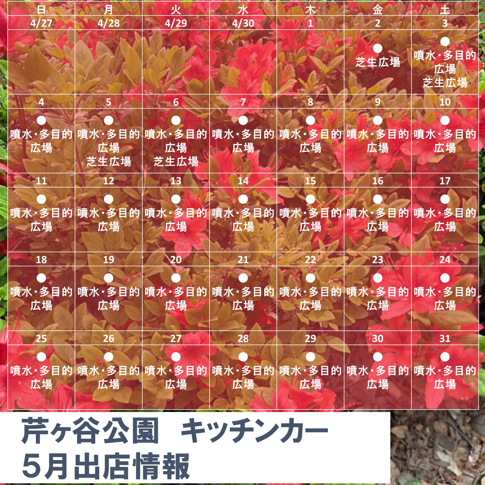 ネルノダイスキ いえめぐり 特典 チラシ 芹ヶ谷公園パークミュージアム カード ネルノダイスキ いえめぐり 特典 チラシ 芹ヶ谷公園パーク