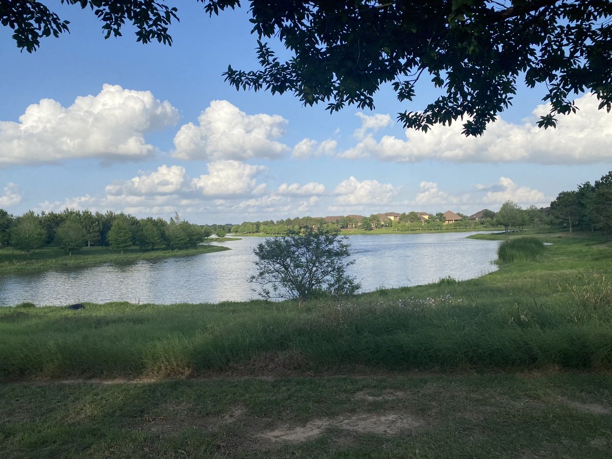 KatachaMiller's tweet photo. Sunday Walks are good for the soul! ๐๐ถ๐พโโ๏ธ๐๐พ๐๐พ #SundayFunday #SelfCareSunday #GetUpAndMove #Nature https://t.co/co4it5ZDKY