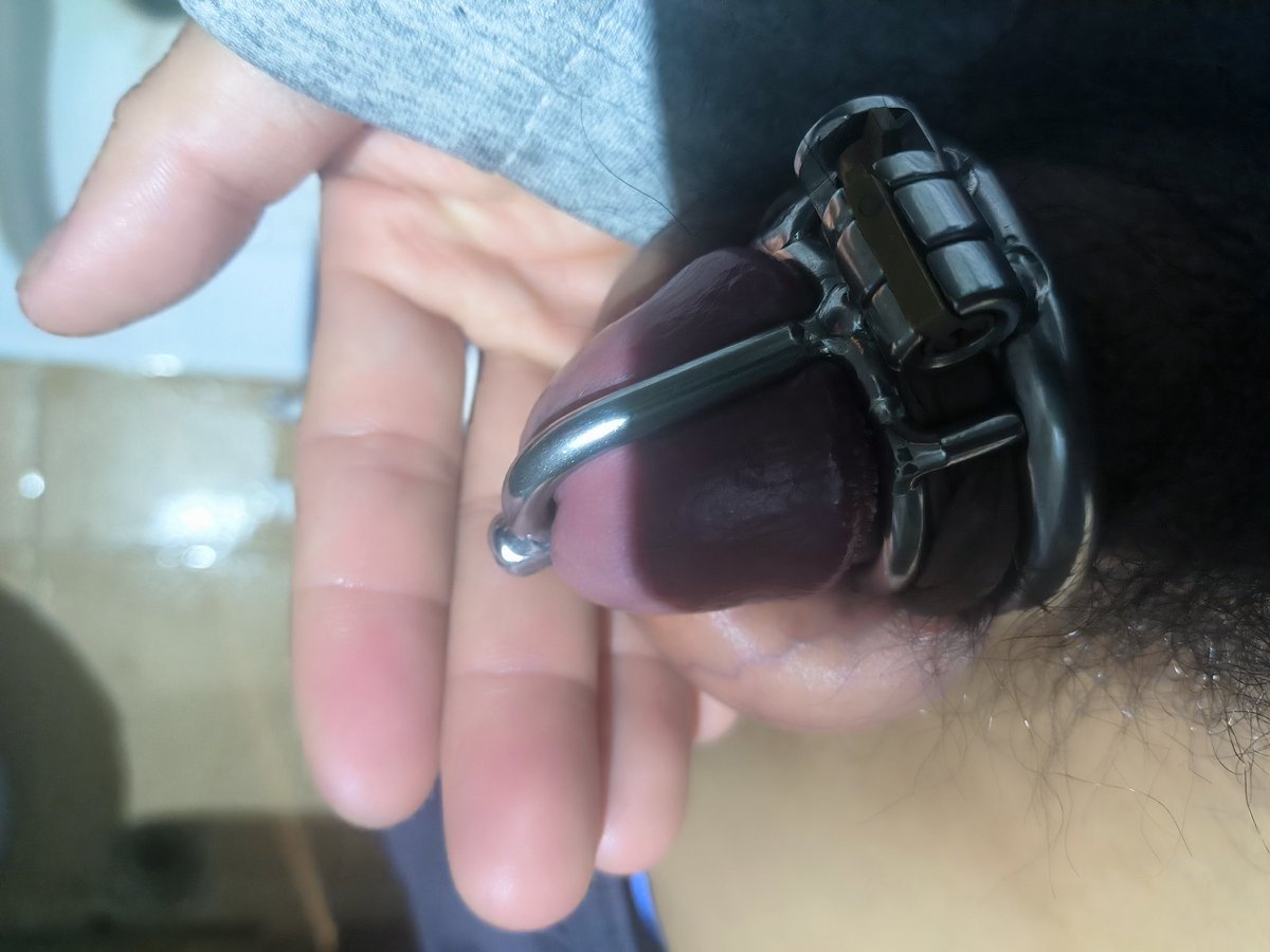 过来帮主人吃出来吗