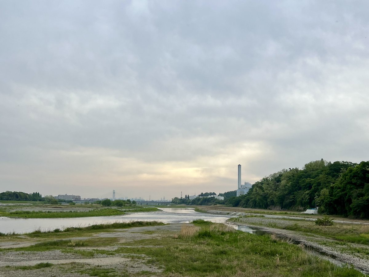 tamakoto55's tweet photo. Have a nice day ☁️ &amp; nice running👟
Today’s 🏃🏼:17.4km / Apr. Σ326.5km
Today’s 🌸:Tama Tokyo🇯🇵
🏃‍♂️➡️ #NRC #TATTA #ランニング #イマソラ #多摩川 #乞田貝取ふれあい広場 #鯉のぼり #貝取こぶし館 #タペストリー 
🌼➡️ #花写真 #flower #nature #アマドコロ #甘野老 #Polygonatum https://t.co/s27Uvc4Up9