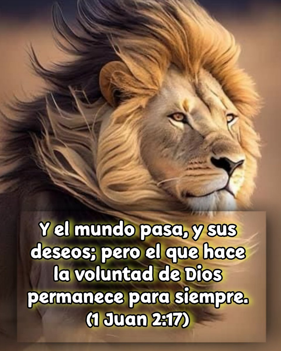 Frases y versos de La Bíblia. tweet media