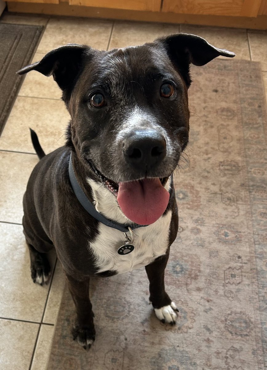 Jordan Meacham tweet media