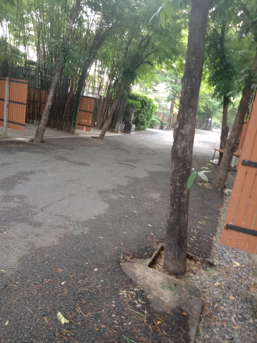 รักสนุกสองเรา tweet media