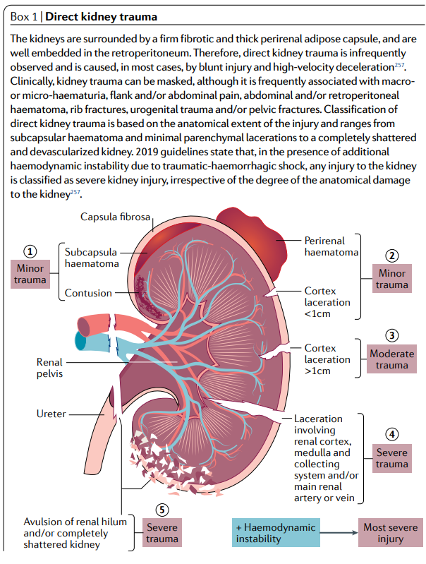 edgarvlermamd's tweet photo. TRAKI: Trauma related AKI ca. 2020 from @NatRevNeph 
#Nephpearls #PathophysiologyPearls 

👉 https://t.co/2o86kGUghe https://t.co/mHj7gdOods