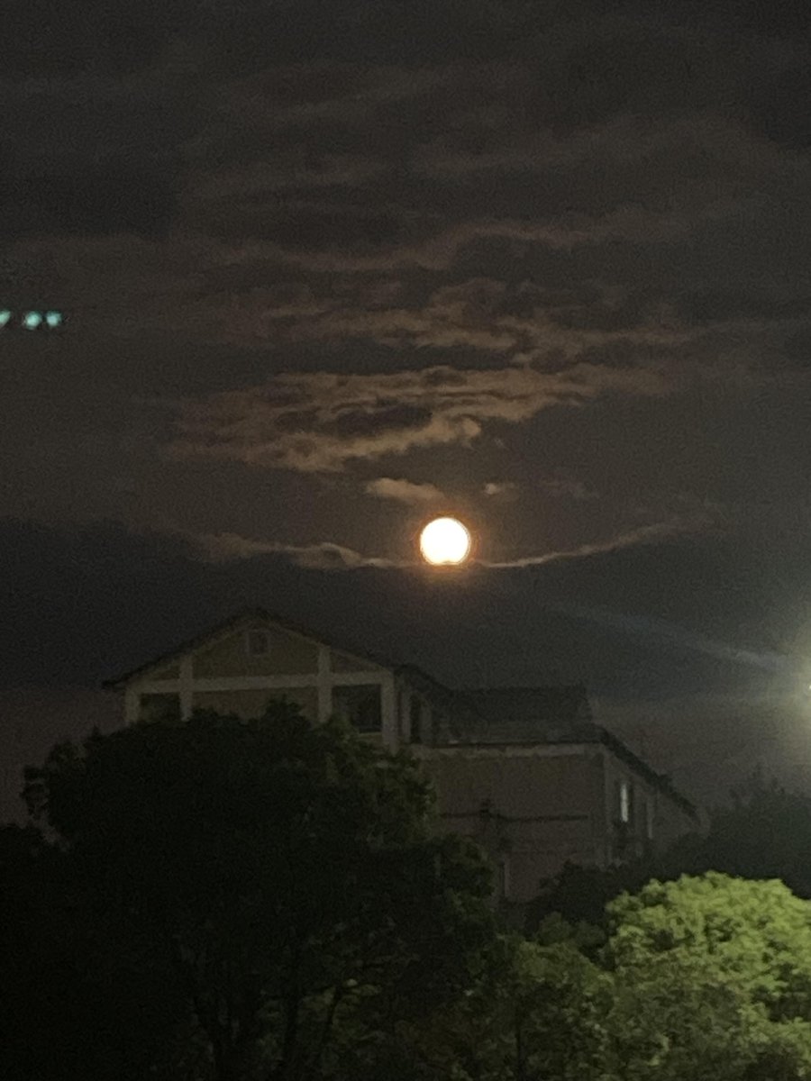 Tonight’s moon shines like a diamond in the velvet sky. The night sighs, and the world feels utterly magical. 🌙💎